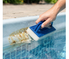 Anti-alg zwembad wandborstel met handvat